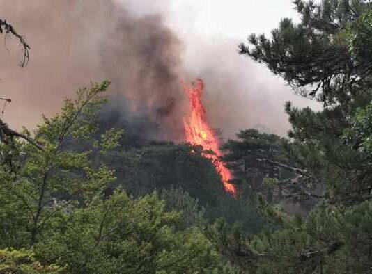 Incendi Calabria – Santuario Madonna di Polsi isolato