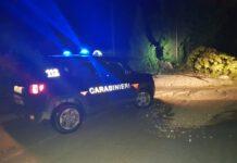 Ragazza 26enne uccisa a colpi di pistola