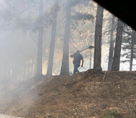Incendi Aspromonte- distrutti ettari di patrimonio boschivo