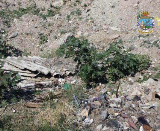 Operazione “Mercato libero” – dettagli e nomi