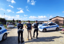 Rosarno – controlli della Polizia locale: sequestri e denunce