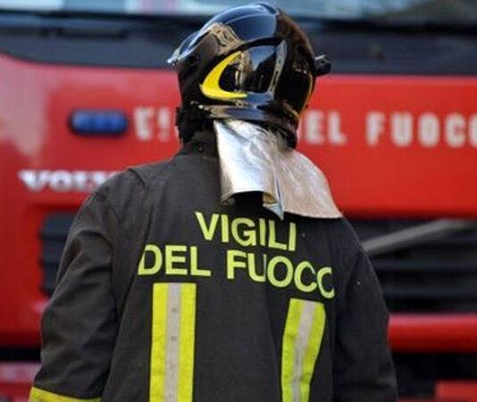 Pineta distrutta da incendio – individuato e denunciato autore