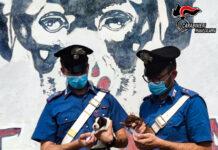 Carabinieri salvano 7 cuccioli di cane abbandonati – denunciato un 23enne