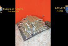 Traffico internazionale di droga – 57 arresti