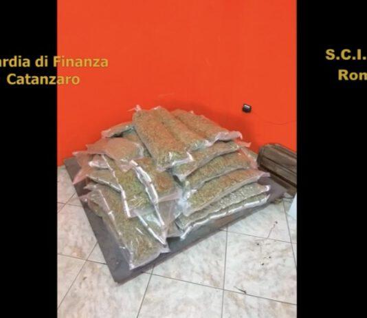 Traffico internazionale di droga – 57 arresti