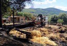 Incendio distrugge azienda nel vibonese