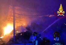 Incendio distrugge capannone azienda agricola – morti 5 bovini