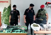 Piantagione di marijuana e armi rinvenute – arrestati padre e figli