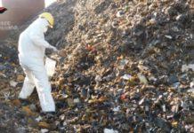 Traffico illecito di rifiuti – Operazione ‘Mala Pigna”: dettagli e nomi