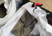 Un arresto e 4 denunce nel reggino