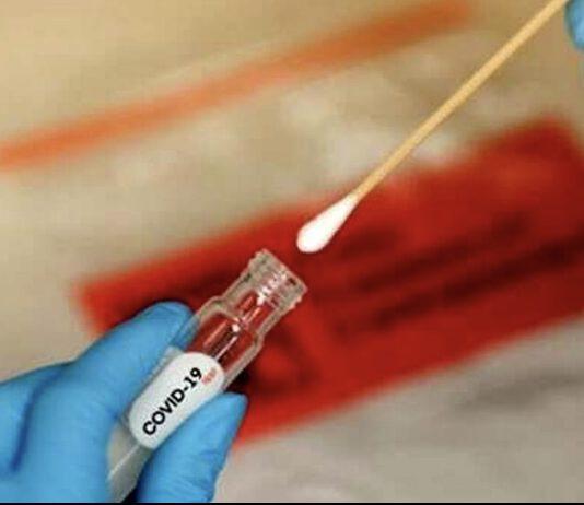 Covid, Cartabellotta (Gimbe): “In aumento i nuovi casi ma non in maniera omogenea- unica regione rischio zona gialla Friulia Venezia Giulia