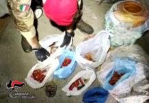 Nascondeva fucile e munizioni tra la vegetazione – denunciato 54enne