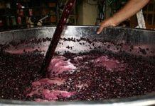 Tragedia in Calabria – 4 persone morte per esalazioni vasca mosto