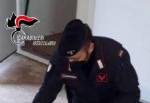 Delianuova – Oltre 200 ghiri rinvenuti nel congelatore, confezionati in pacchetti. Tre arresti per produzione di stupefacenti e cattura di animali di specie protetta