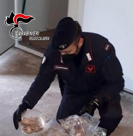 Delianuova – Oltre 200 ghiri rinvenuti nel congelatore, confezionati in pacchetti. Tre arresti per produzione di stupefacenti e cattura di animali di specie protetta