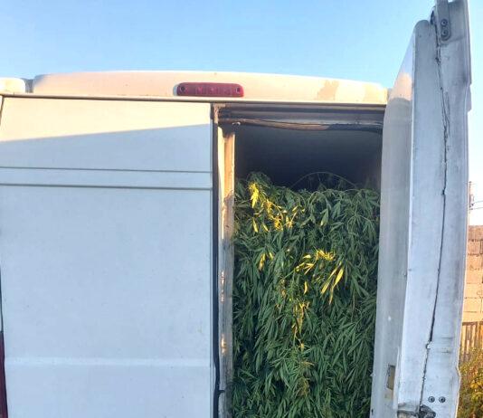 Rosarno – 29enne fermato alla guida di un furgone carico di marijuana: 4 arresti