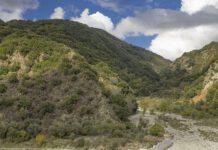 Trovato morto 63enne disperso a Mammola