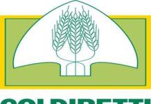 Coldiretti Calabria: dalla Regione ci aspettiamo interventi urgenti per l’agricoltura calabrese