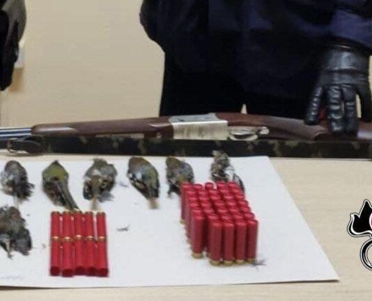 Caccia illegale – denunciato 73enne di Giffone