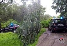 Operazione “Saggio compagno” – 8 ordini di carcerazione