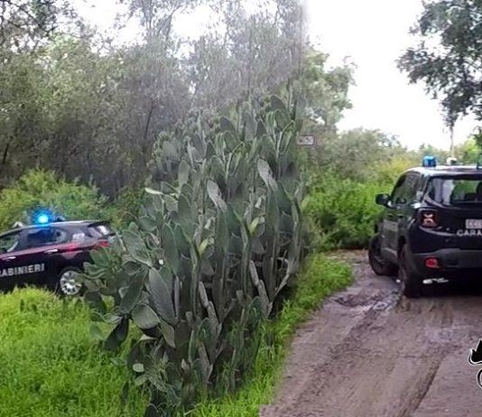 Operazione “Saggio compagno” – 8 ordini di carcerazione