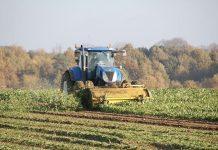 Calabria – si ribalta mezzo agricolo: muore 40enne