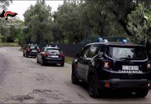 Coltivazione di marijuana ad Anoia, eseguite 3 ordinanze di misura cautelare