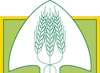 Coldiretti Calabria: inflazione e caro energia al galoppo, campagne impoverite, diminuisce potere d’acquisto delle famiglie