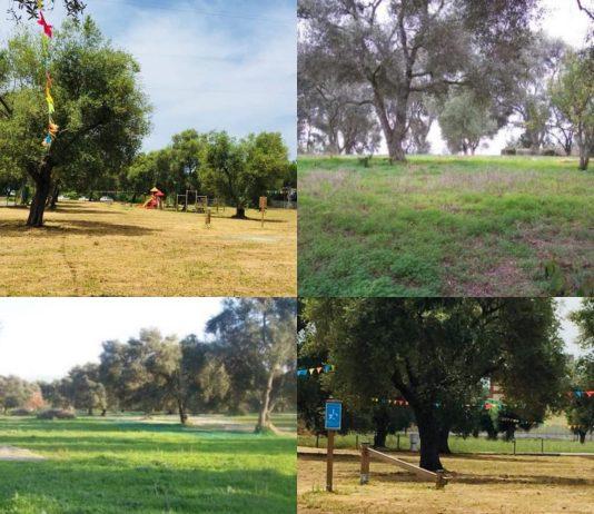 Rosarno – l’impegno di RoPAM, Rosarnesi per il Parco archeologico Antica Medma