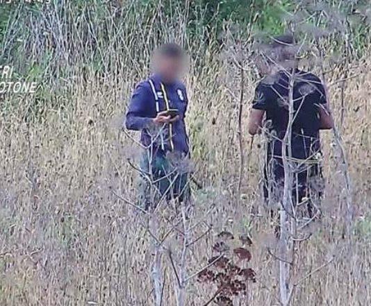 Piantagioni di marijuana su terreno demaniale – 6 arresti