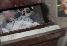 Scomparsa nel 2019 – bimba trovata in una stanza segreta nel sottoscala