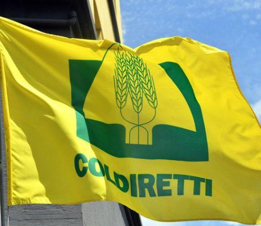 Coldiretti Calabria: partita la campagna assicurativa fondamentale assicurare le produzioni contro i rischi dei cambiamenti climatici