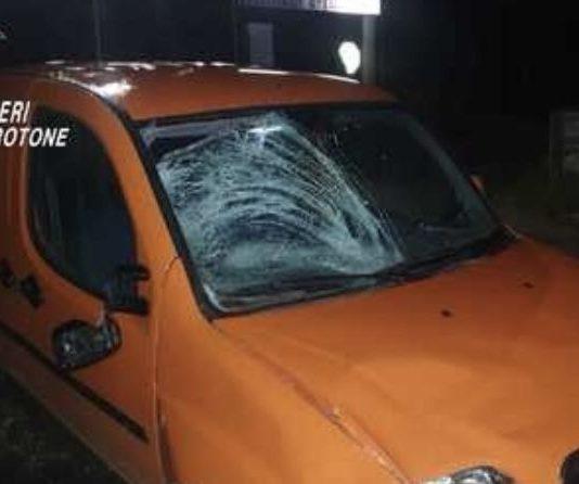 Bambina ucraina investita – arrestato 18enne