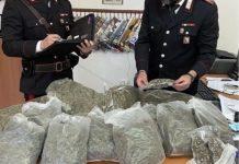 Nascondeva in magazzino oltre 6 kg di marijuana – arrestato 29enne
