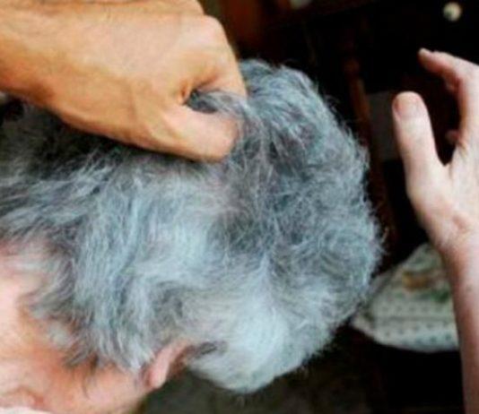 Maltrattamenti a moglie per oltre 30 anni – allontanato da casa