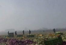 Caporalato e sfruttamento – 15 persone arrestate