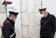 Uccidono un cucciolo di cane a sassate e poi lo bruciano – 3 minori denunciati