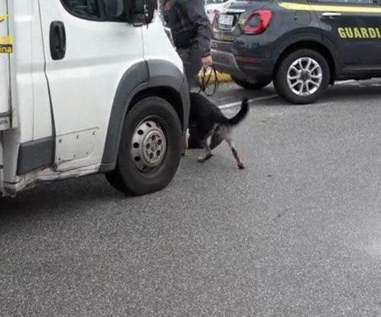 Fermato in auto imbarcaderi Messina con 32 kg di marijuana