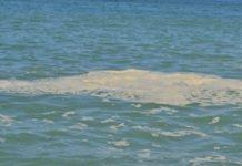 Gioi Tauro: condotta killer, interviene il CMDT