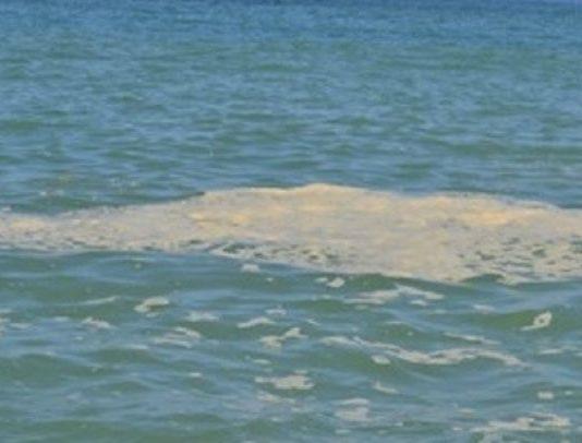 Gioi Tauro: condotta killer, interviene il CMDT