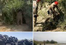 Calabria – operazione Deep 3: reati ambientali, denunciati imprenditori