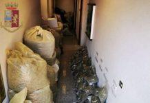 Nascondeva in casa oltre mezza tonnellata di marijuana – arrestato