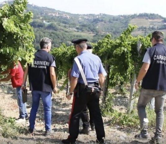 Contrasto al caporalato – 13 misure cautelari