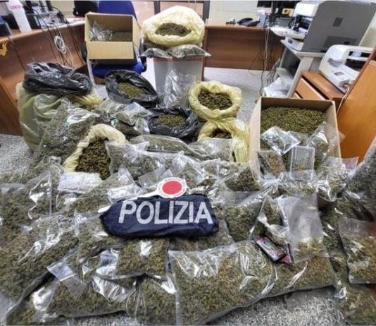 Trovato in casa con 51kg di marijuana – arrestato