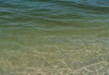 Calabria mare inquinato in 11 punti anche San Ferdinando e Gioia Tauro