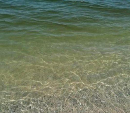 Calabria mare inquinato in 11 punti anche San Ferdinando e Gioia Tauro