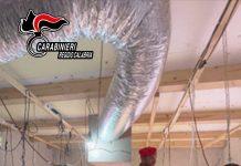 Palmi – scoperte 60 piante di marijuana in seminterrato: arrestate due persone