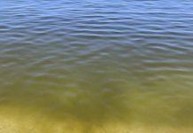 Fratelli d’Italia Gioia Tauro: mare impraticabile, è il momento di agire per salvare quel che resta della stagione estiva