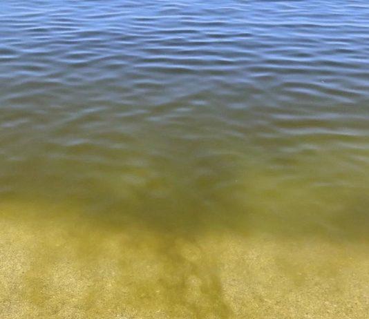 Fratelli d’Italia Gioia Tauro: mare impraticabile, è il momento di agire per salvare quel che resta della stagione estiva