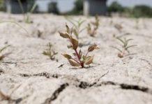 Siccità: in comune Calabria turni rioni per erogazione acqua